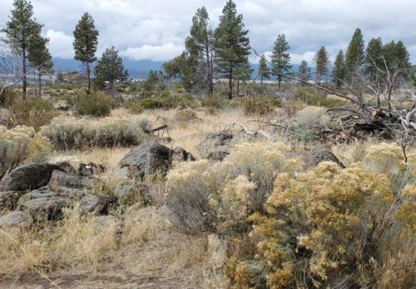 2.25 acres near Sprague River, OR - Image 8