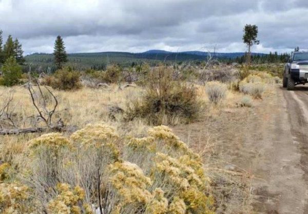 2.25 acres near Sprague River, OR - Image 7