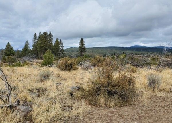 2.25 acres near Sprague River, OR - Image 2
