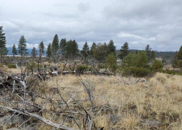 2.25 acres near Sprague River, OR - Image 17