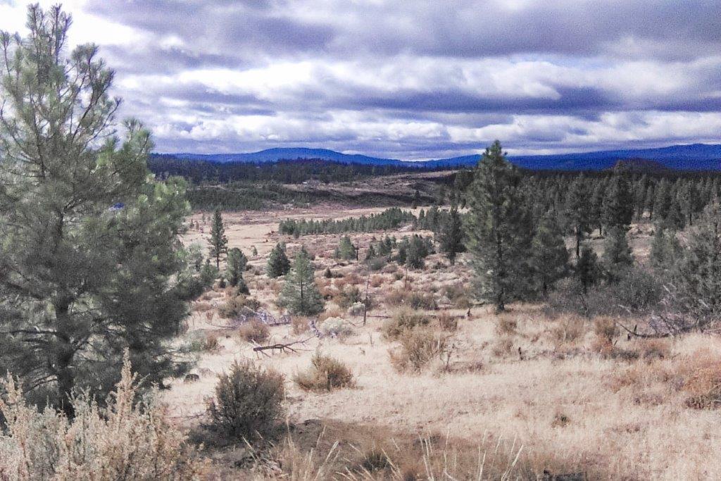 2.58 acres near Sprague River, OR