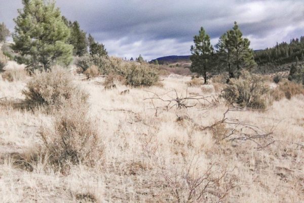 2.58 acres near Sprague River, OR - Image 2
