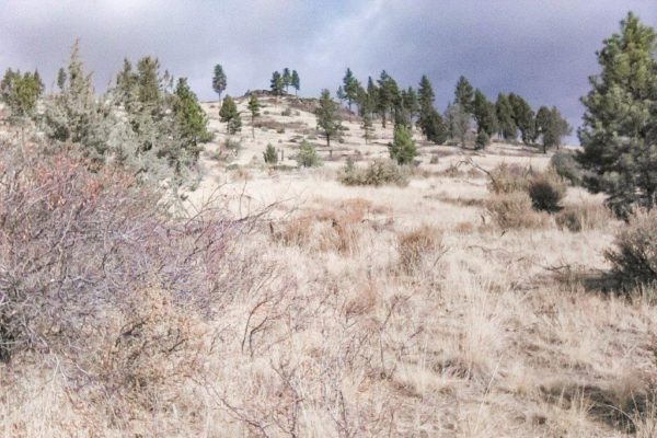 2.58 acres near Sprague River, OR - Image 6