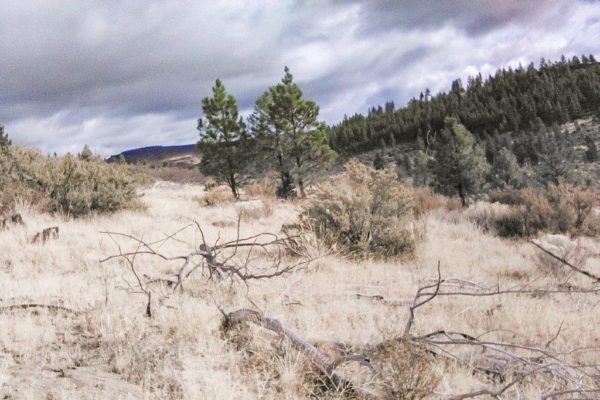 2.58 acres near Sprague River, OR - Image 5