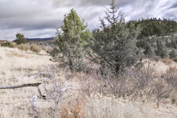 2.58 acres near Sprague River, OR - Image 4