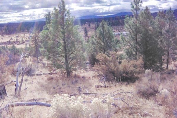 2.58 acres near Sprague River, OR - Image 3