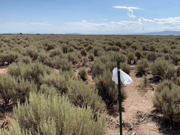 2.14 acres in Iron County, UT - Image 9