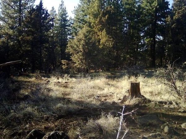 2.01 acres in Klamath County, OR - Image 17