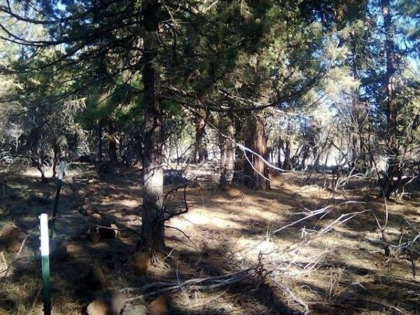 2.01 acres in Klamath County, OR - Image 15