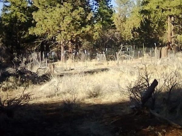 2.01 acres in Klamath County, OR - Image 12