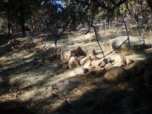 2.01 acres in Klamath County, OR - Image 14