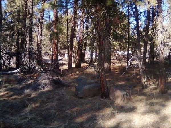 2.01 acres in Klamath County, OR - Image 13