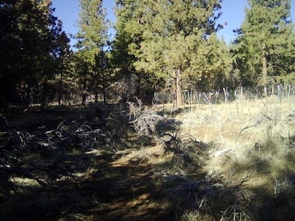 2.01 acres in Klamath County, OR - Image 11