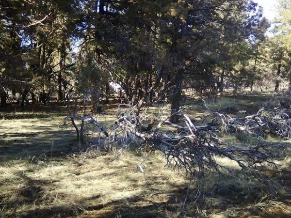2.01 acres in Klamath County, OR - Image 16