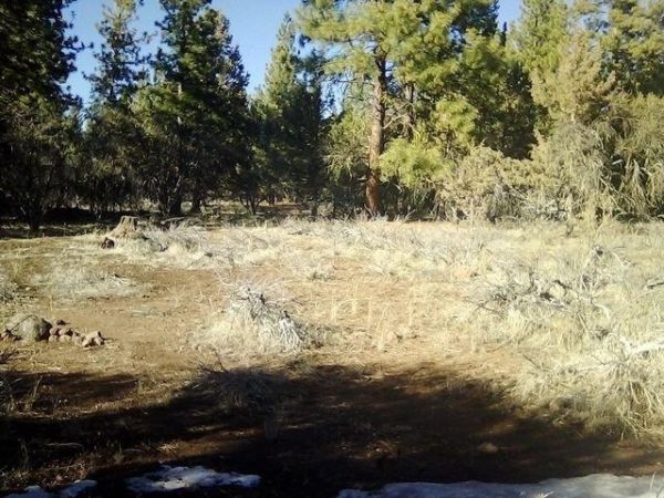 2.01 acres in Klamath County, OR - Image 8