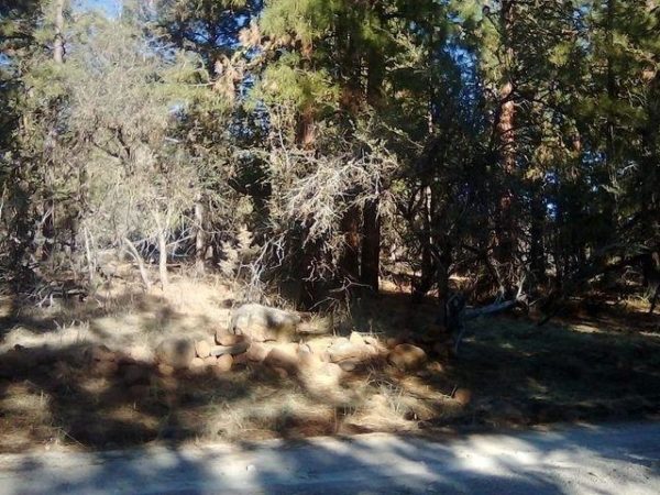 2.01 acres in Klamath County, OR - Image 7