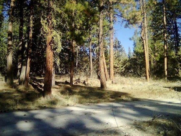 2.01 acres in Klamath County, OR - Image 3