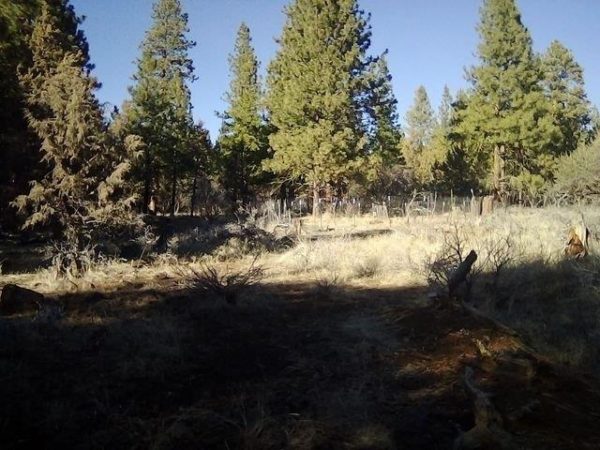 2.01 acres in Klamath County, OR - Image 6