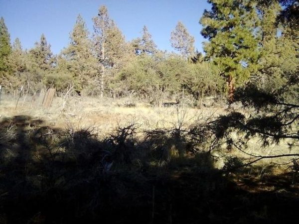 2.01 acres in Klamath County, OR - Image 9