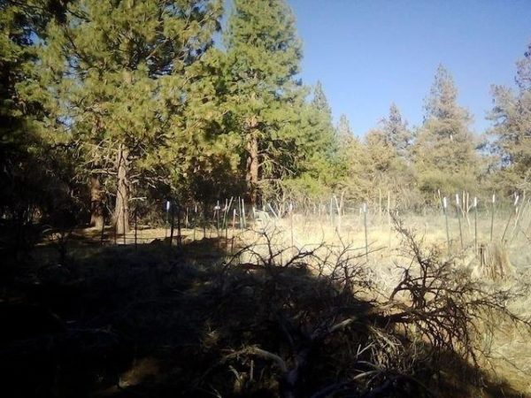 2.01 acres in Klamath County, OR - Image 21