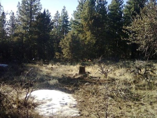 2.01 acres in Klamath County, OR - Image 20