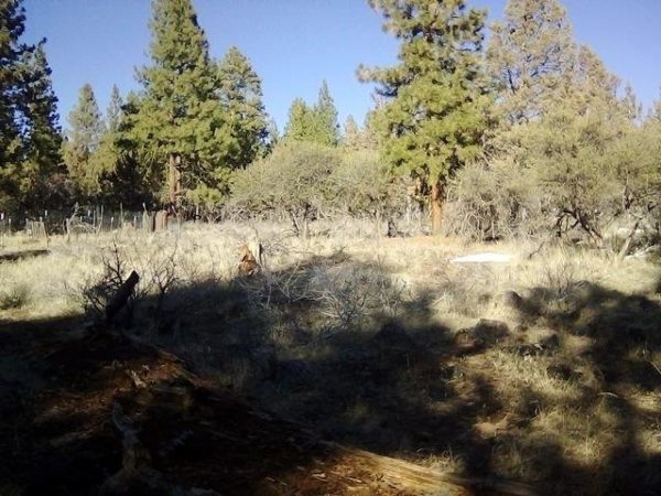 2.01 acres in Klamath County, OR - Image 5