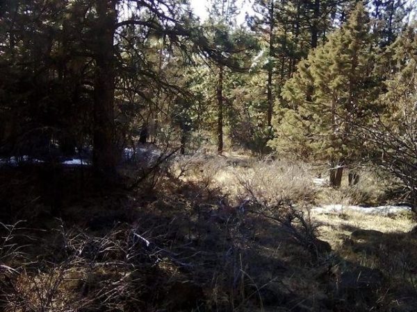 2.01 acres in Klamath County, OR - Image 18