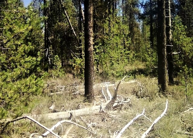 .95 acres in Klamath County, OR