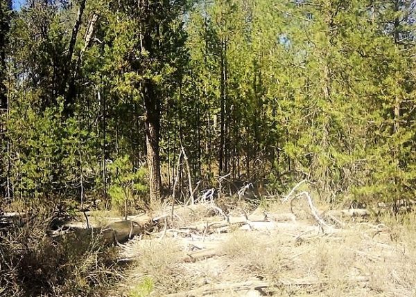 .95 acres in Klamath County, OR - Image 14