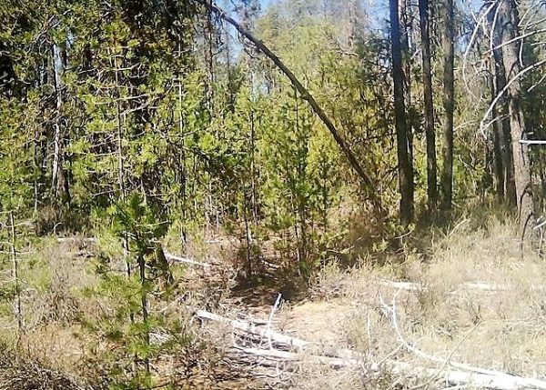 .95 acres in Klamath County, OR - Image 10