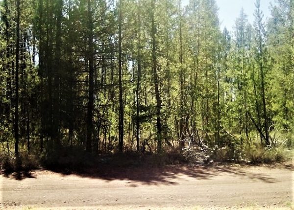 .95 acres in Klamath County, OR - Image 6