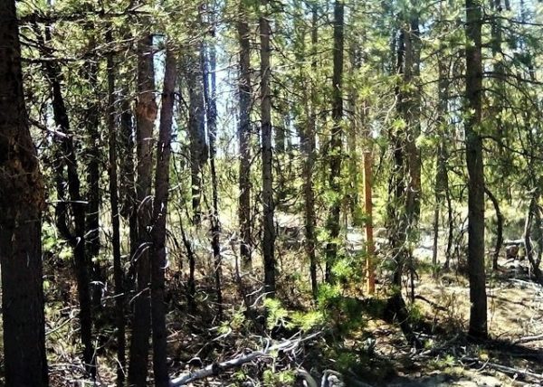 .95 acres in Klamath County, OR - Image 9