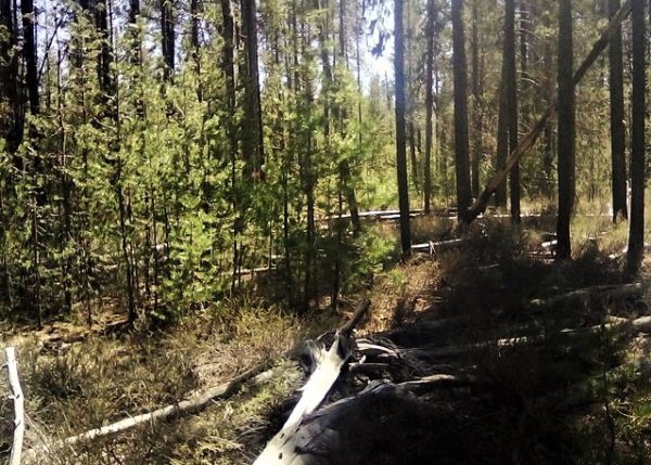 .95 acres in Klamath County, OR - Image 5