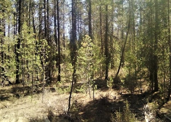 .95 acres in Klamath County, OR - Image 7