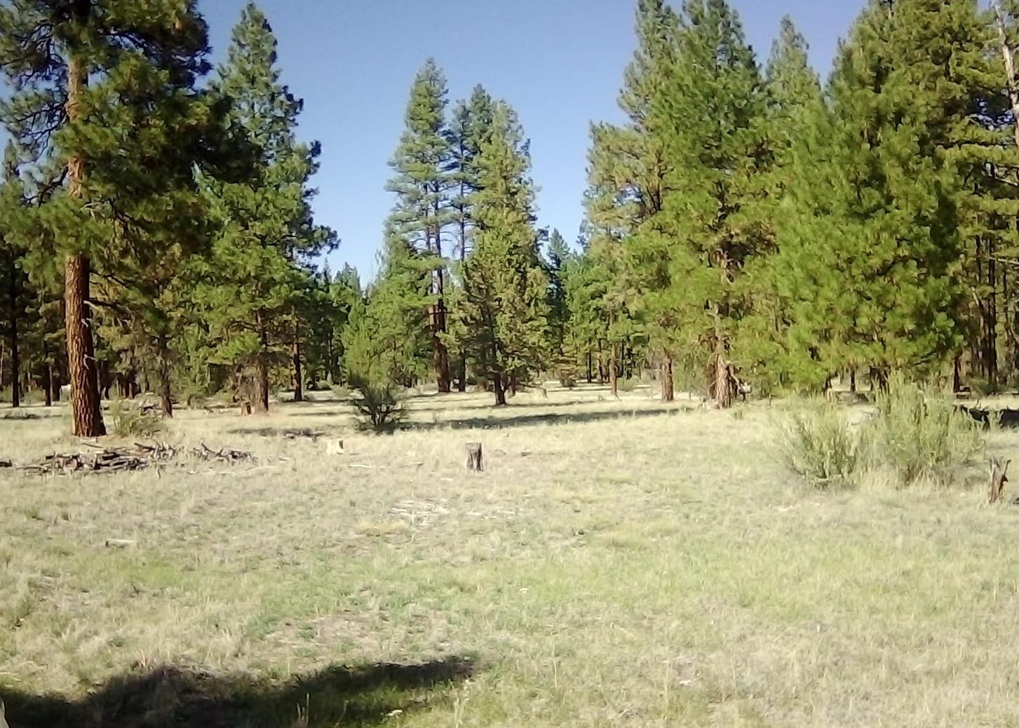 2.28 acres in Klamath County, OR