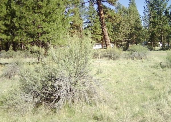 2.28 acres in Klamath County, OR - Image 12