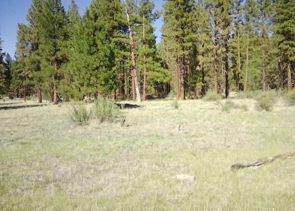 2.28 acres in Klamath County, OR - Image 11