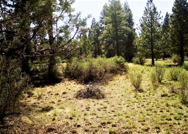 2.28 acres in Klamath County, OR - Image 9