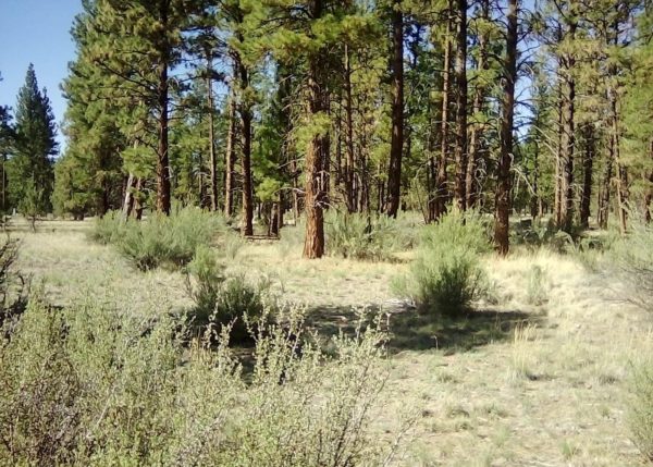2.28 acres in Klamath County, OR - Image 8
