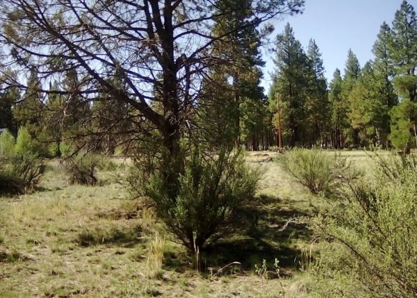 2.28 acres in Klamath County, OR - Image 7