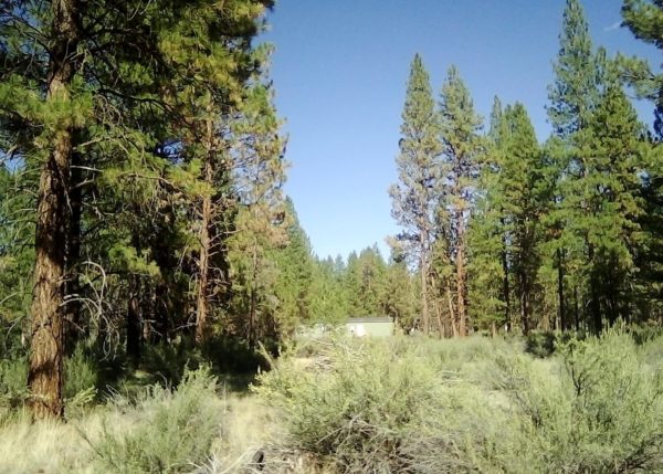 2.28 acres in Klamath County, OR - Image 6