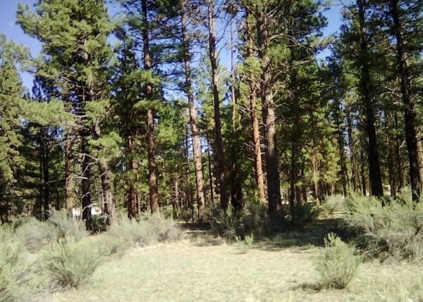 2.28 acres in Klamath County, OR - Image 5