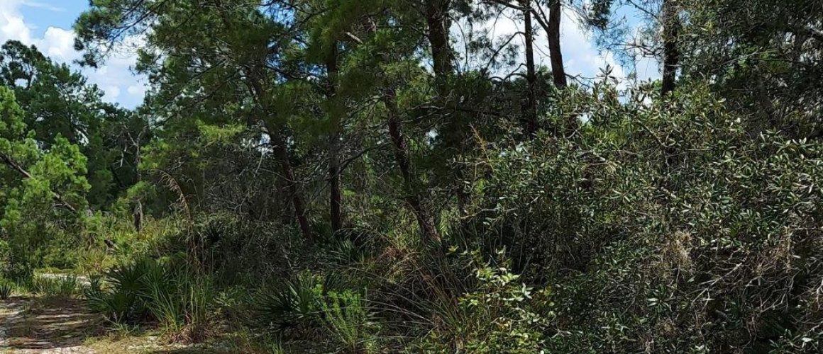 .26 acres in Highlands County, Florida
