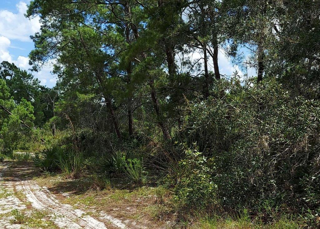 .26 acres in Highlands County, Florida