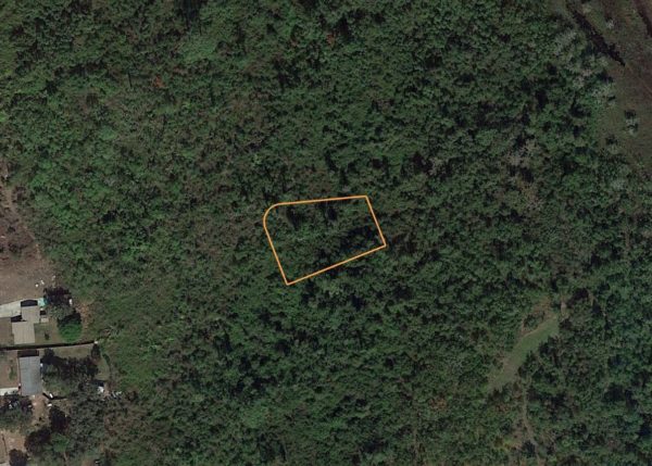 .33 acres in Highlands County, Florida - Image 10