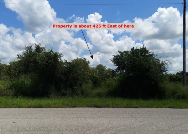 .33 acres in Highlands County, Florida - Image 2