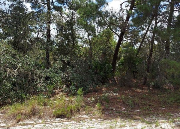 .26 acres in Highlands County, Florida - Image 16