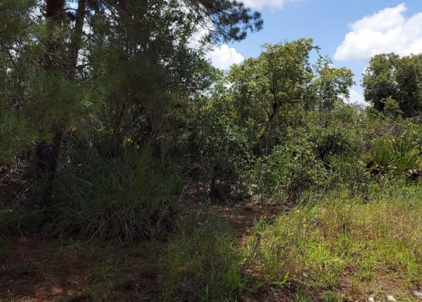 .26 acres in Highlands County, Florida - Image 13