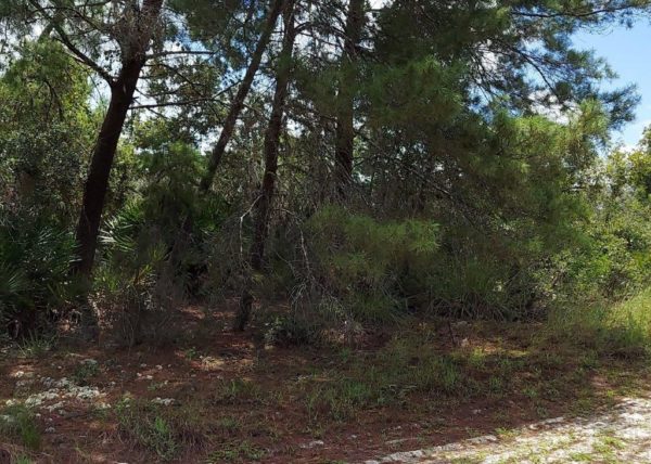 .26 acres in Highlands County, Florida - Image 14