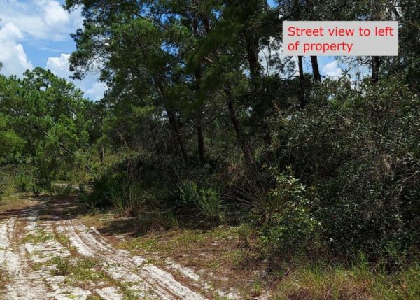 .26 acres in Highlands County, Florida - Image 3